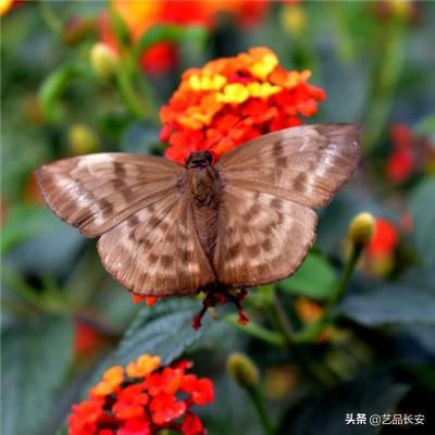 宝宝拼图拖拖乐游戏下载