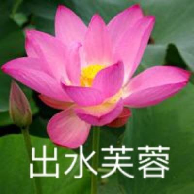王者之剑破解版下载